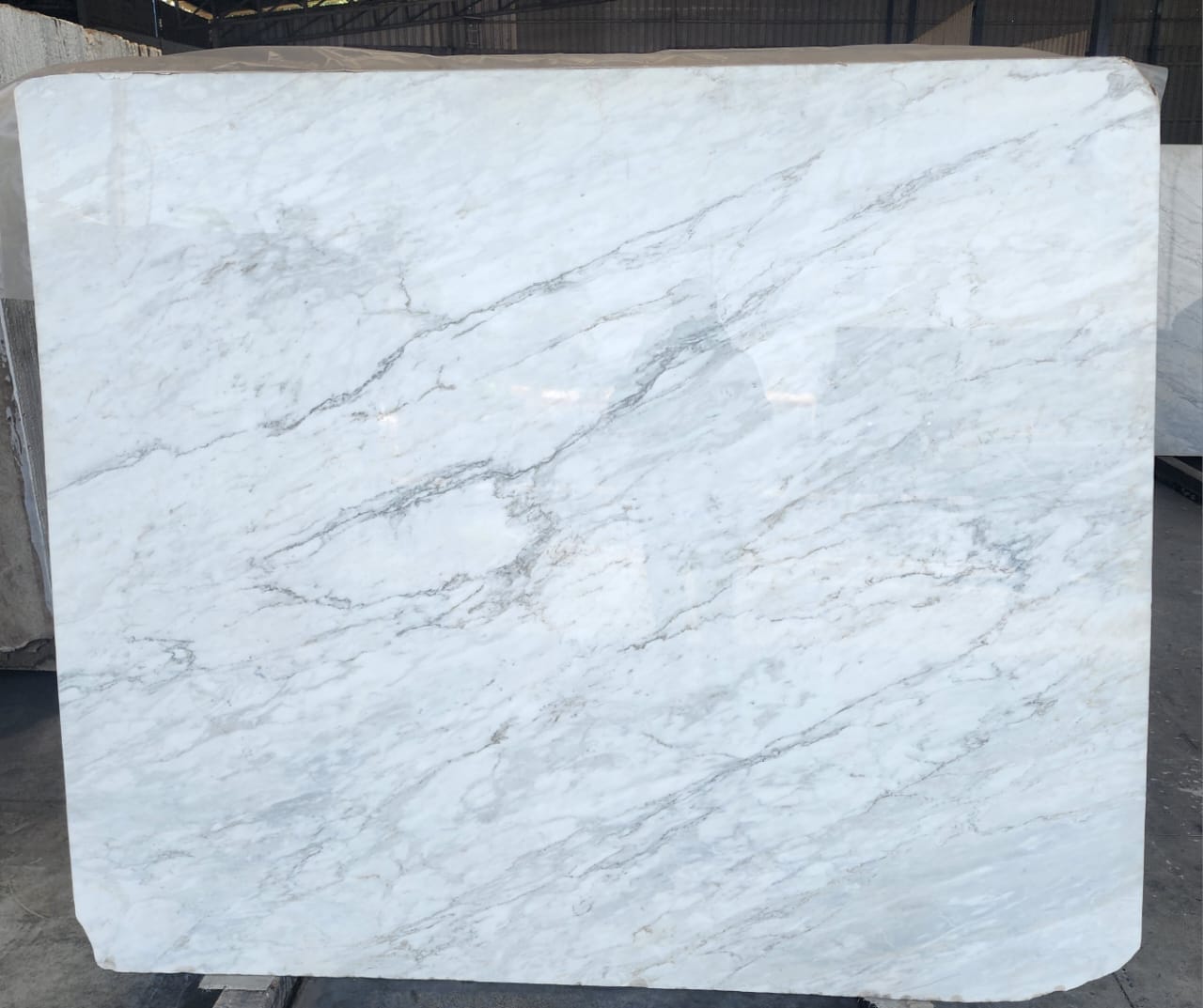 Venetino Marble