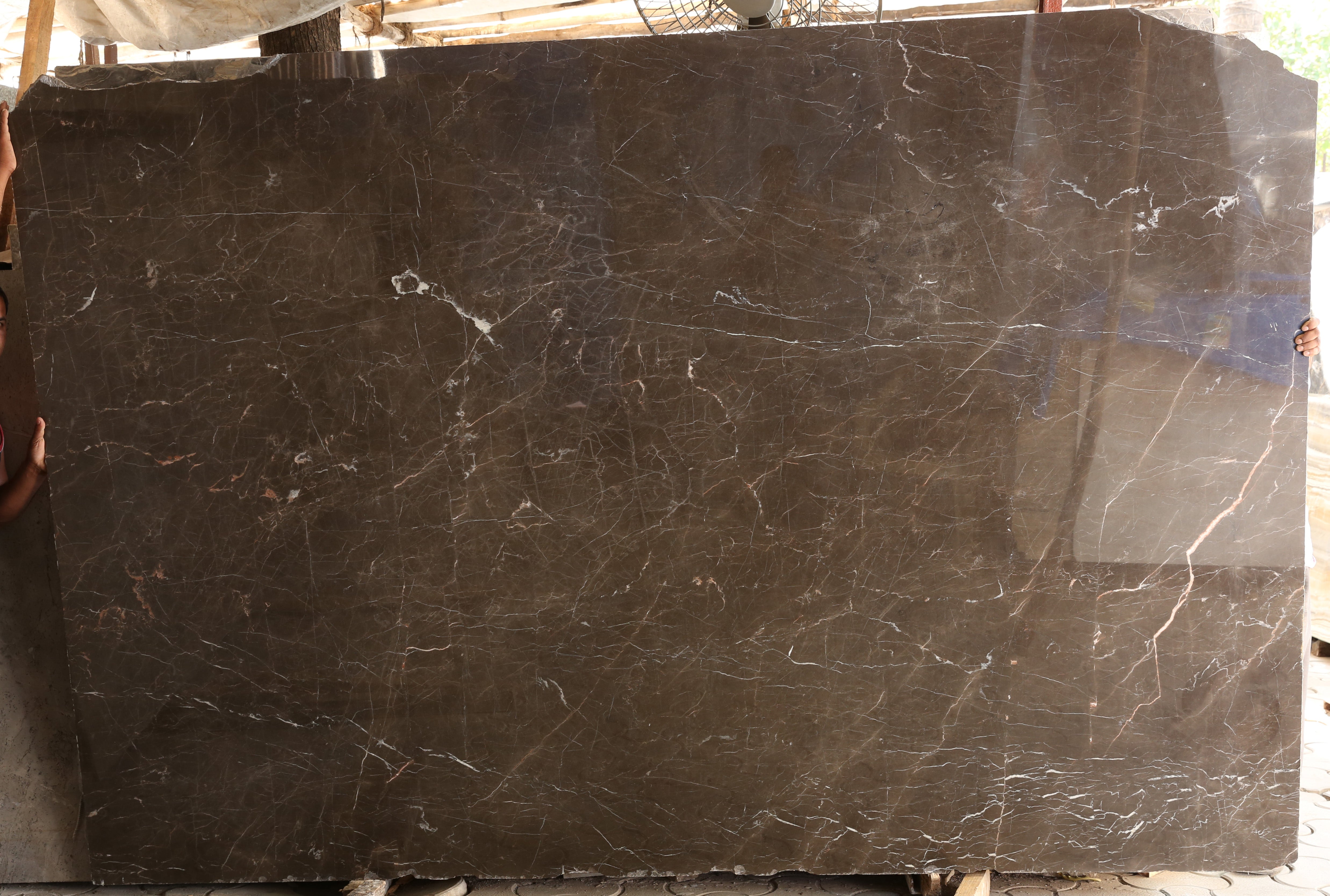 Armani Brown Marble Rynestone